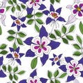 Decorative flowers columbine. Vector seamless pattern.